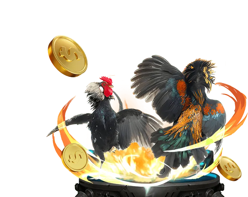 Giá trị cốt lõi hbet casino